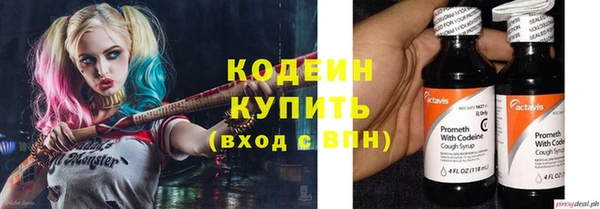 крисы Лабытнанги
