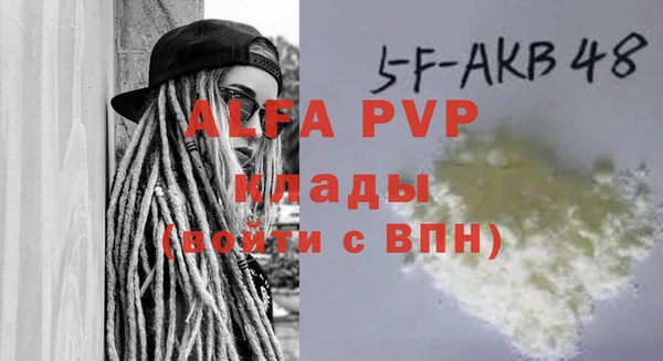 ECSTASY Ладушкин