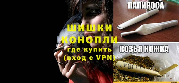 крисы Лабытнанги